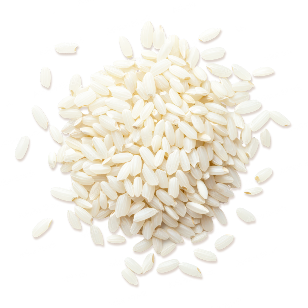 Рис круглозернистий