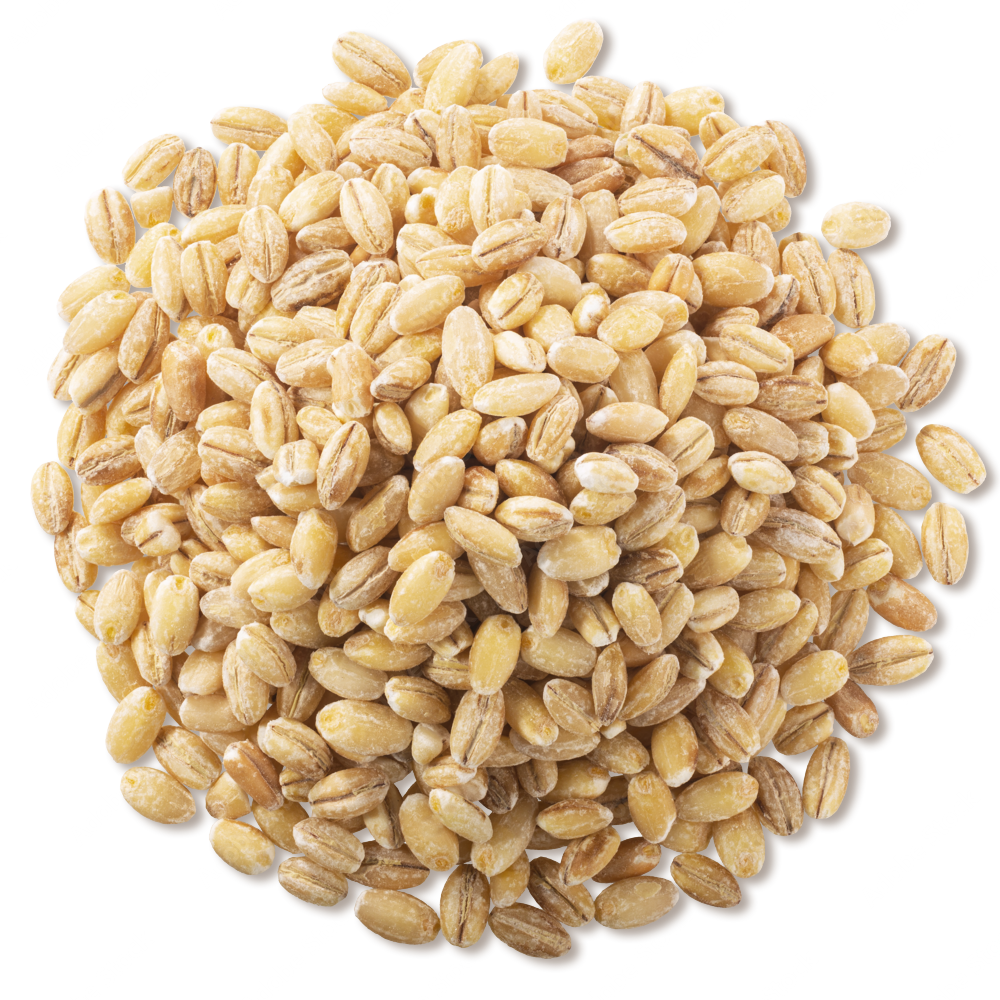 Кутя